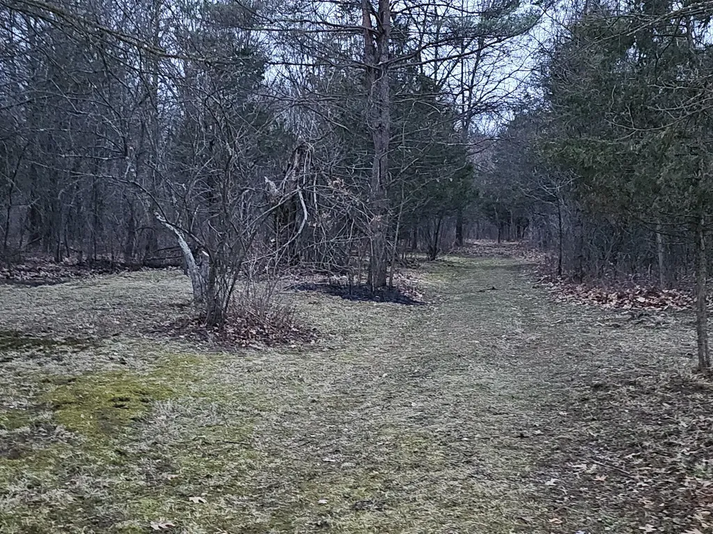 193 Ellis Road Bedford Charter Township MI 49037