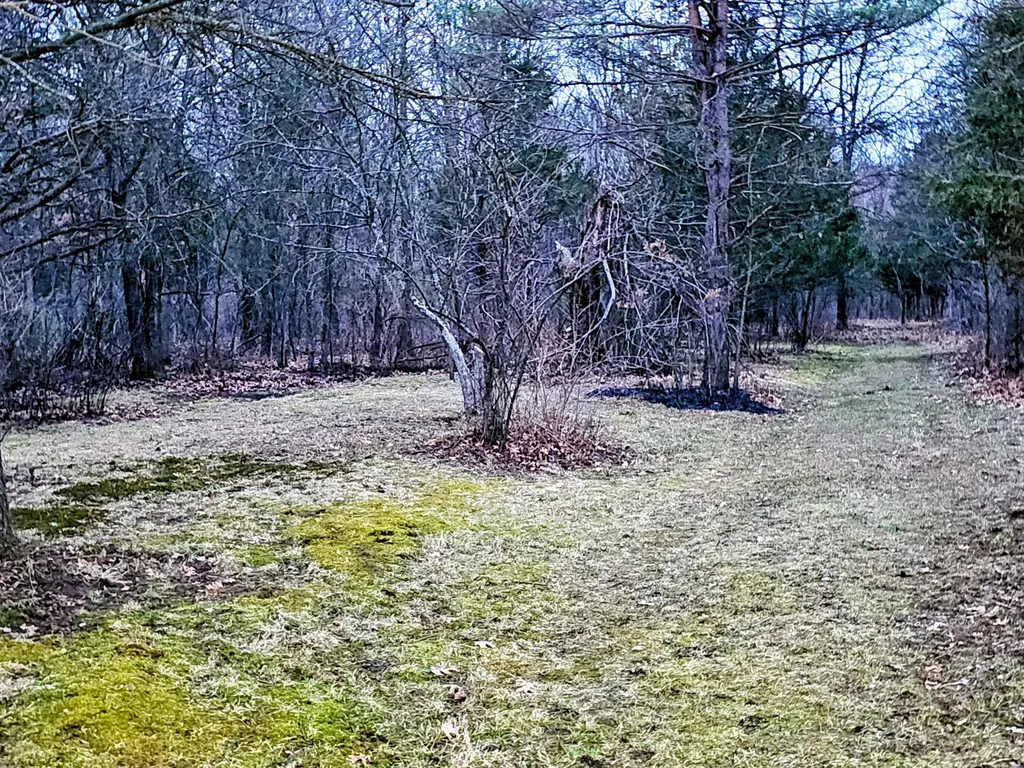 193 Ellis Road Bedford Charter Township MI 49037