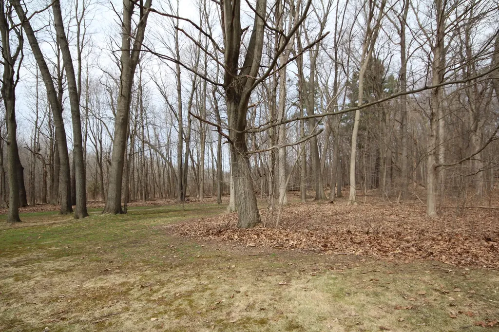9009 E Main Street Comstock Charter Township MI 49053