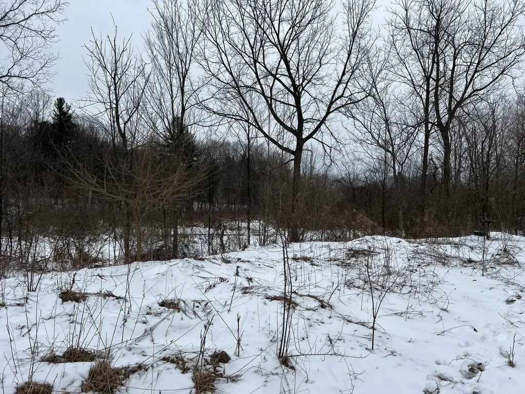01275 47 1/2 Street Columbia Township MI 49056