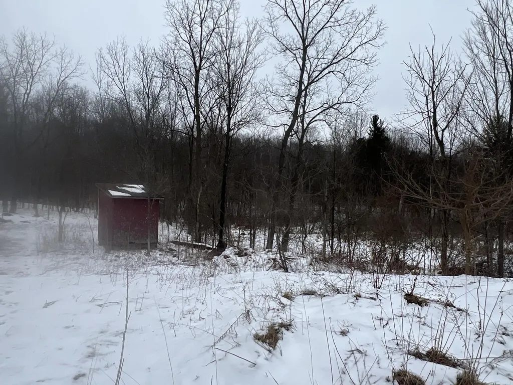 01275 47 1/2 Street Columbia Township MI 49056