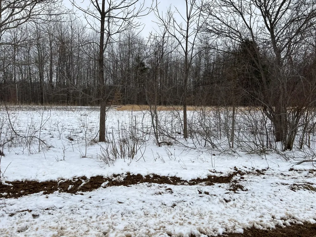 01275 47 1/2 Street Columbia Township MI 49056