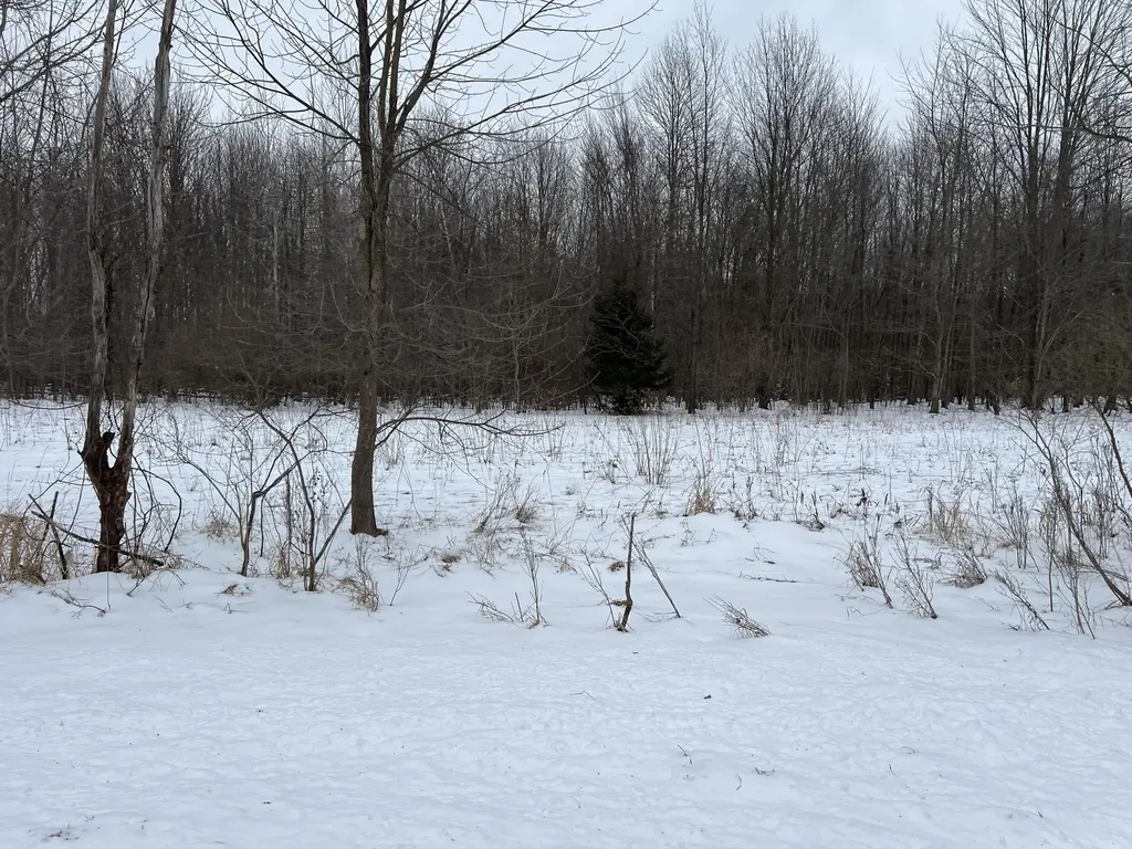 01275 47 1/2 Street Columbia Township MI 49056