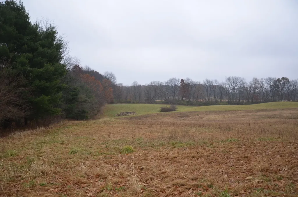 3366 Ludlow Road Parma Township MI 49224