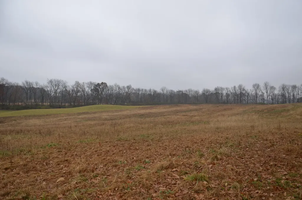 3366 Ludlow Road Parma Township MI 49224