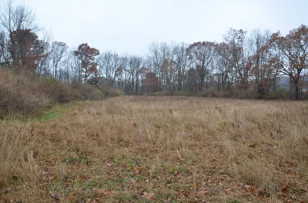 3366 Ludlow Road Parma Township MI 49224