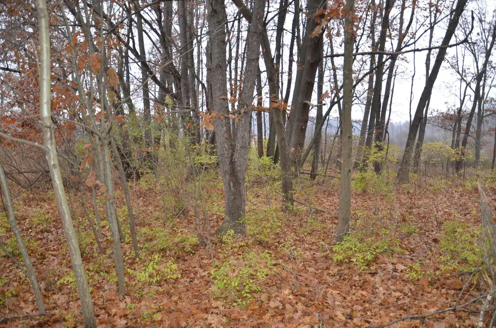 3366 Ludlow Road Parma Township MI 49224