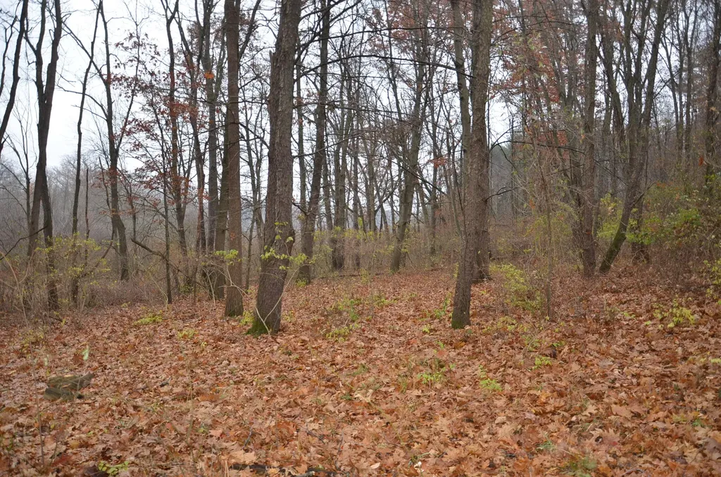 3366 Ludlow Road Parma Township MI 49224