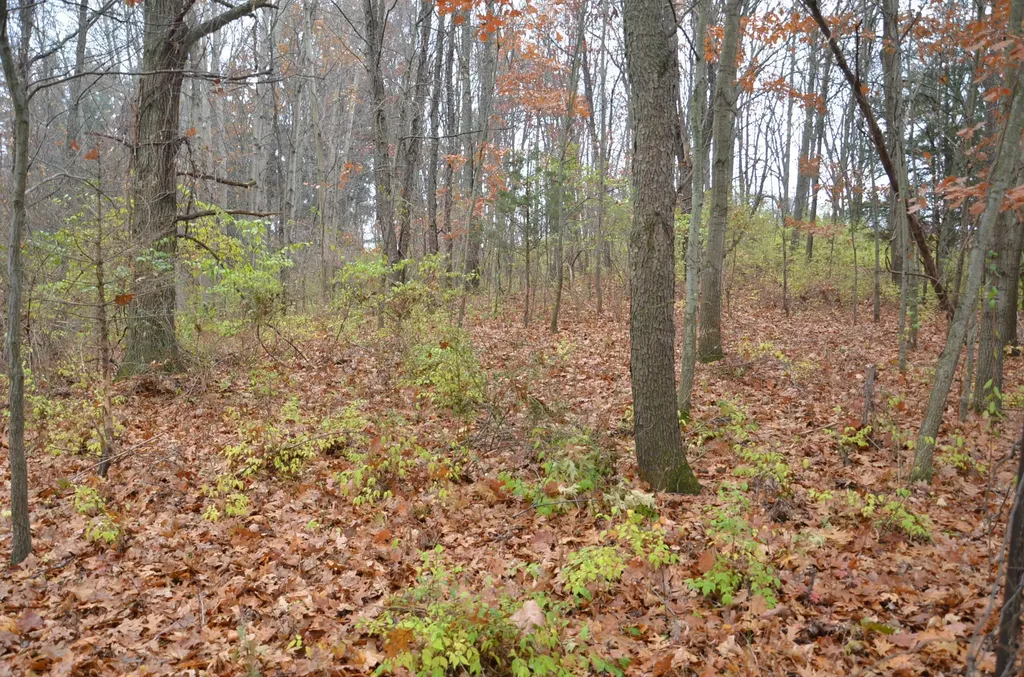 3366 Ludlow Road Parma Township MI 49224