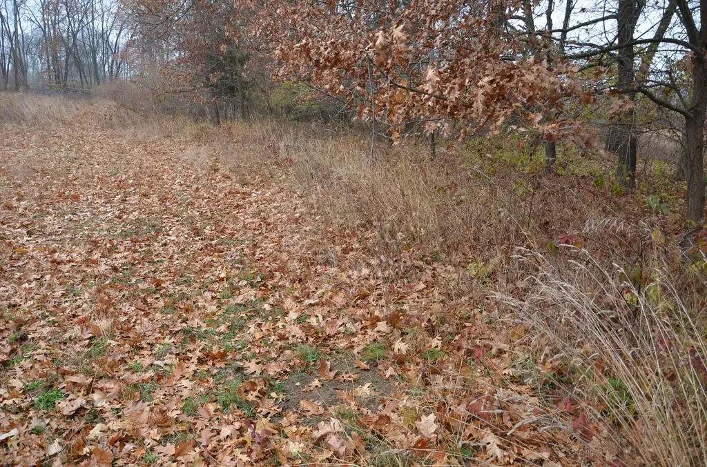3366 Ludlow Road Parma Township MI 49224