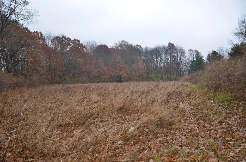 3366 Ludlow Road Parma Township MI 49224