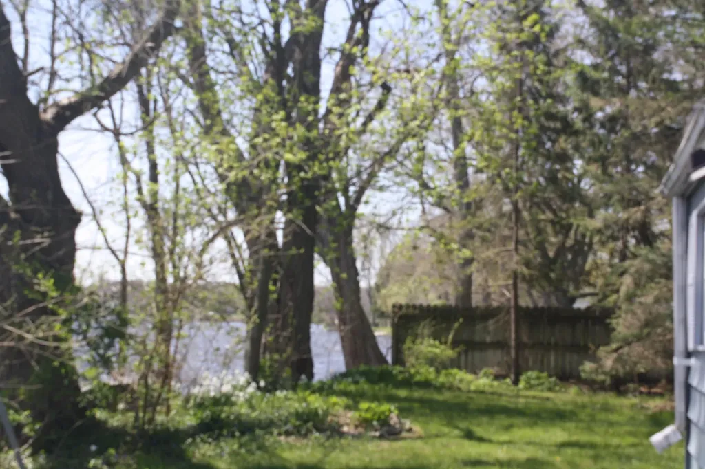 22951 Riverside Drive Nottawa Township MI 49072