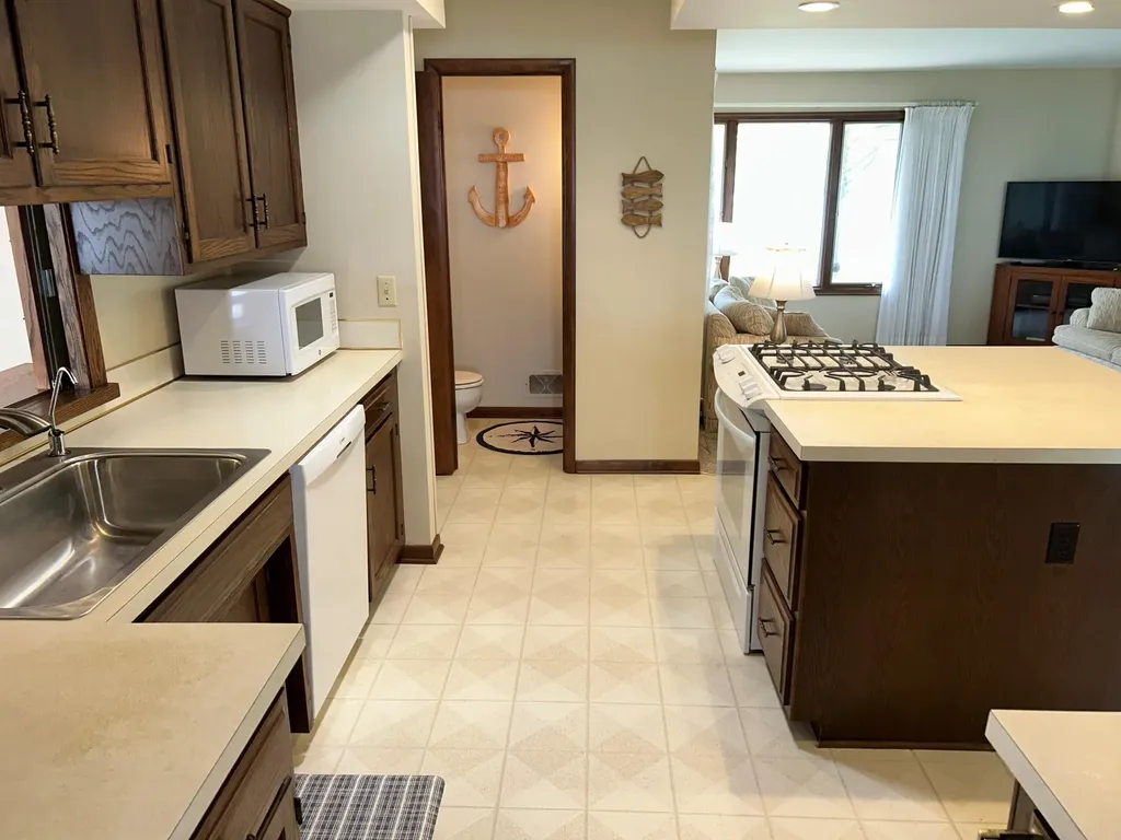 11975 E Lee Mar Drive Brady Township MI 49097