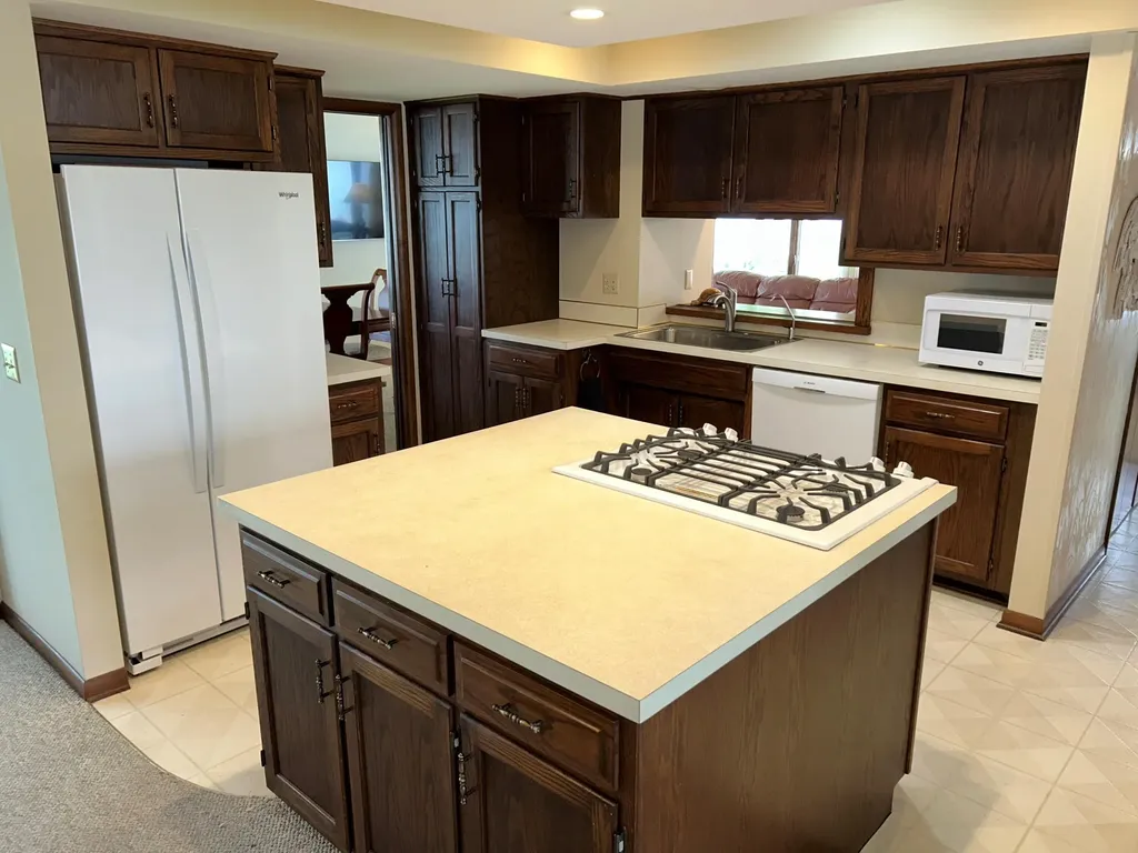 11975 E Lee Mar Drive Brady Township MI 49097