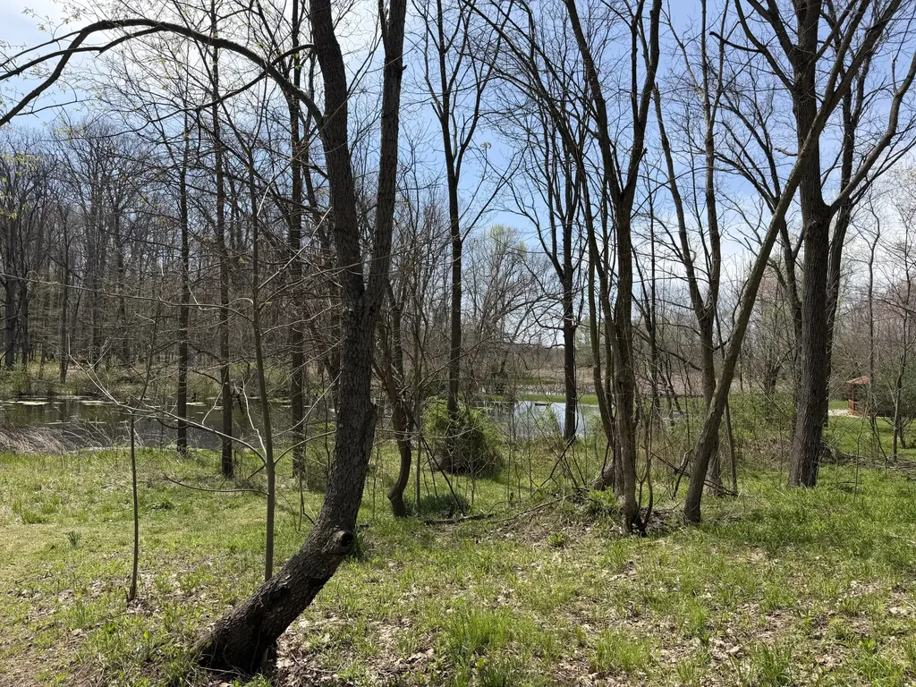 7805 W Xy Avenue Prairie Ronde Township MI 49087