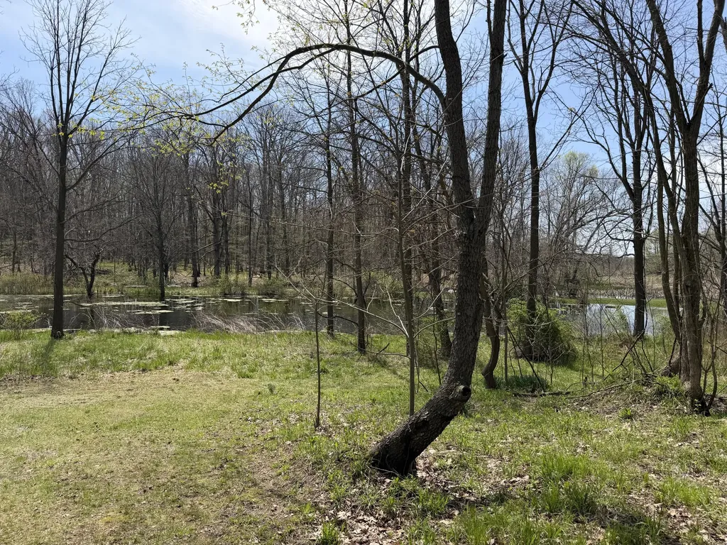7805 W Xy Avenue Prairie Ronde Township MI 49087