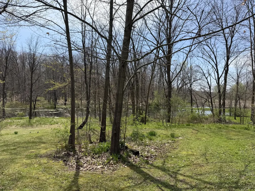 7805 W Xy Avenue Prairie Ronde Township MI 49087