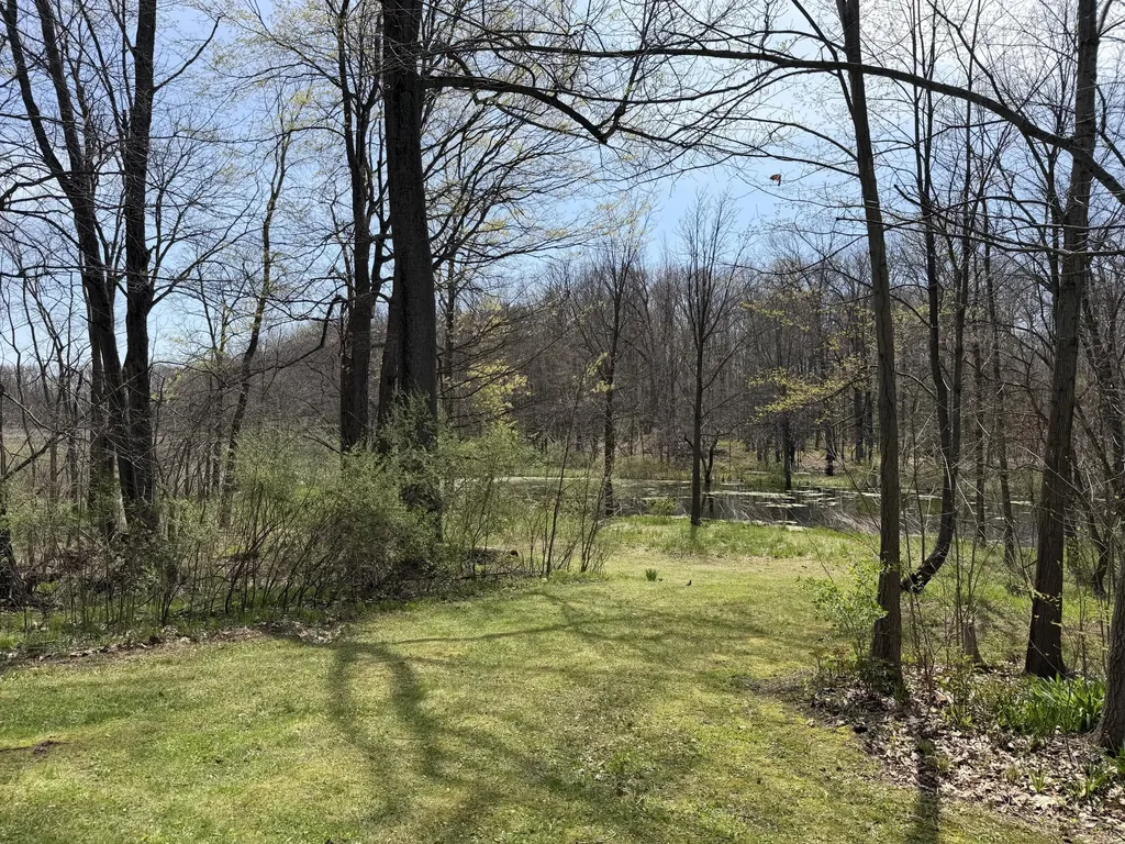7805 W Xy Avenue Prairie Ronde Township MI 49087