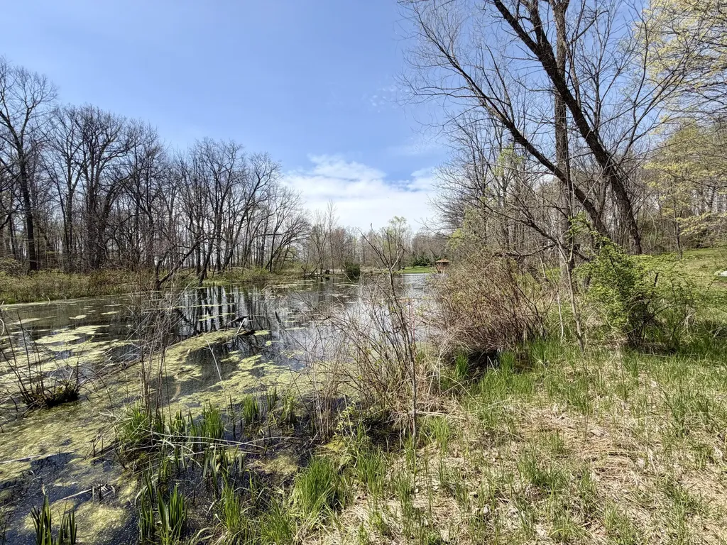 7805 W Xy Avenue Prairie Ronde Township MI 49087