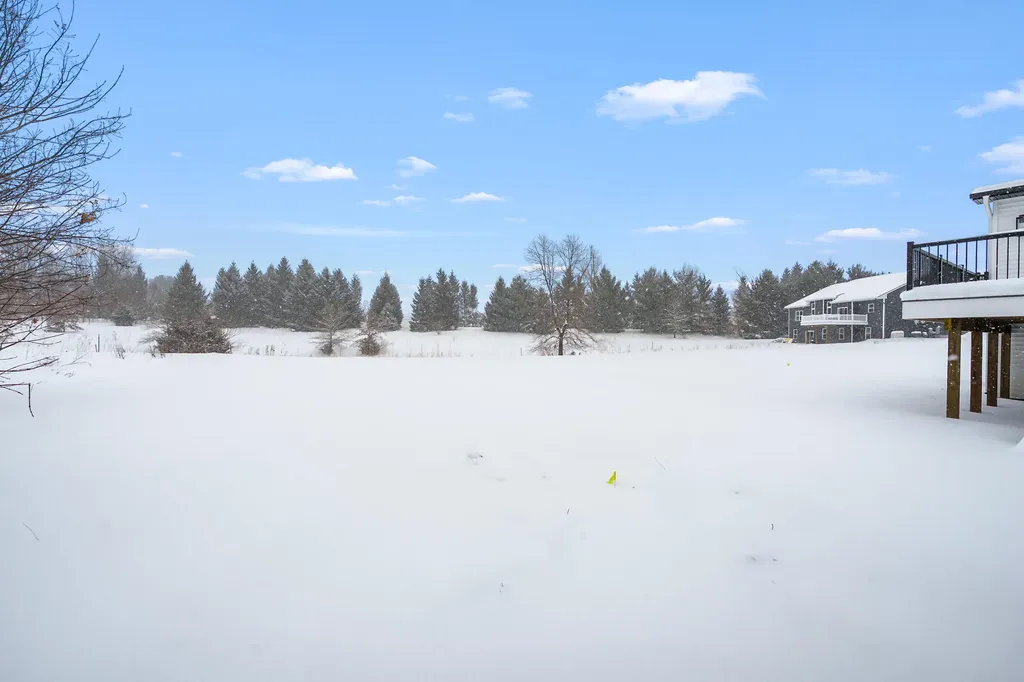5453 Turkey Run Drive Richland Township MI 49004