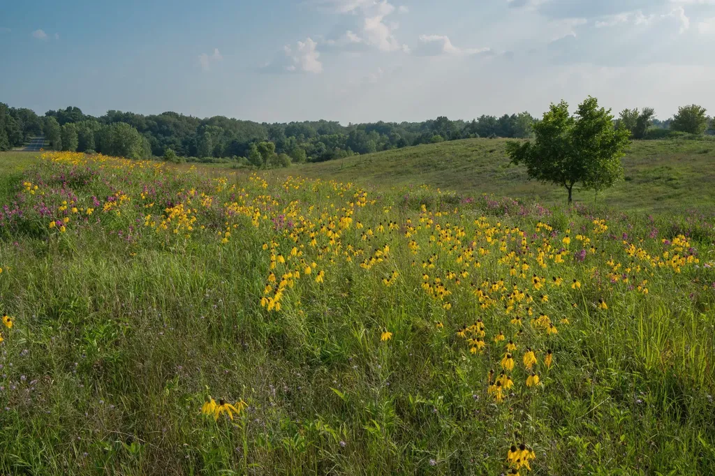 6697 Chaffey Creek Trail Richland Township MI 49083