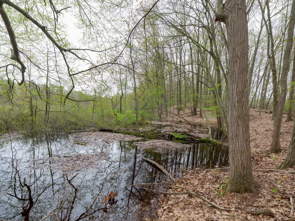 22431 Paulson Road Pine Grove Township MI 49055