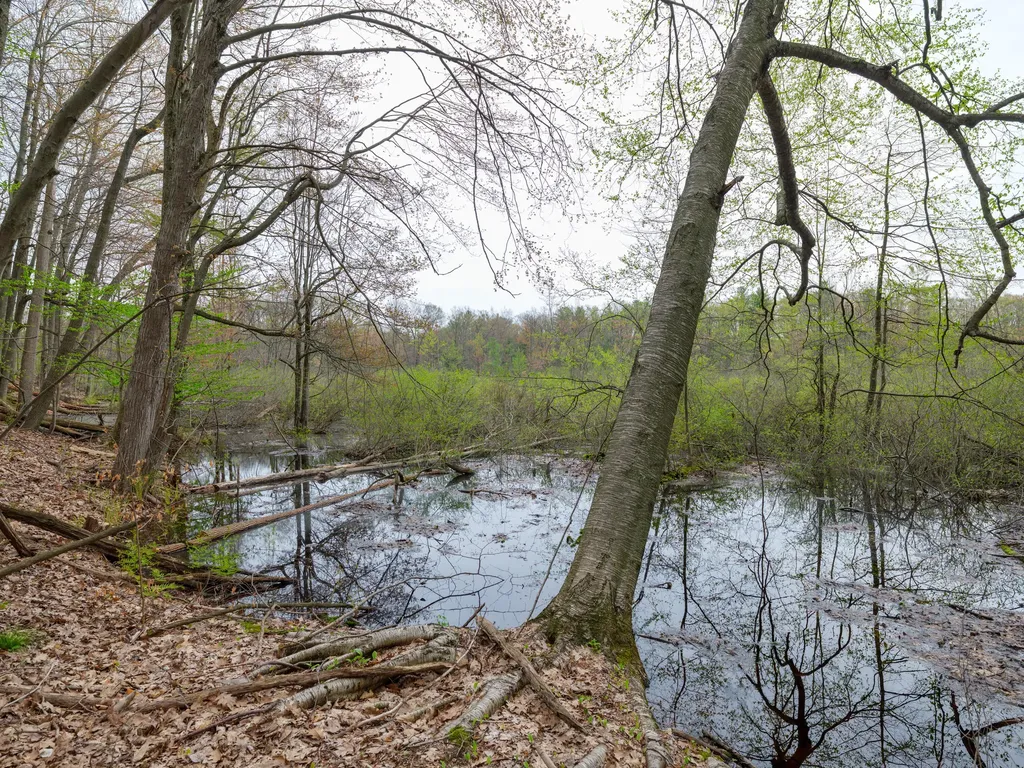 22431 Paulson Road Pine Grove Township MI 49055