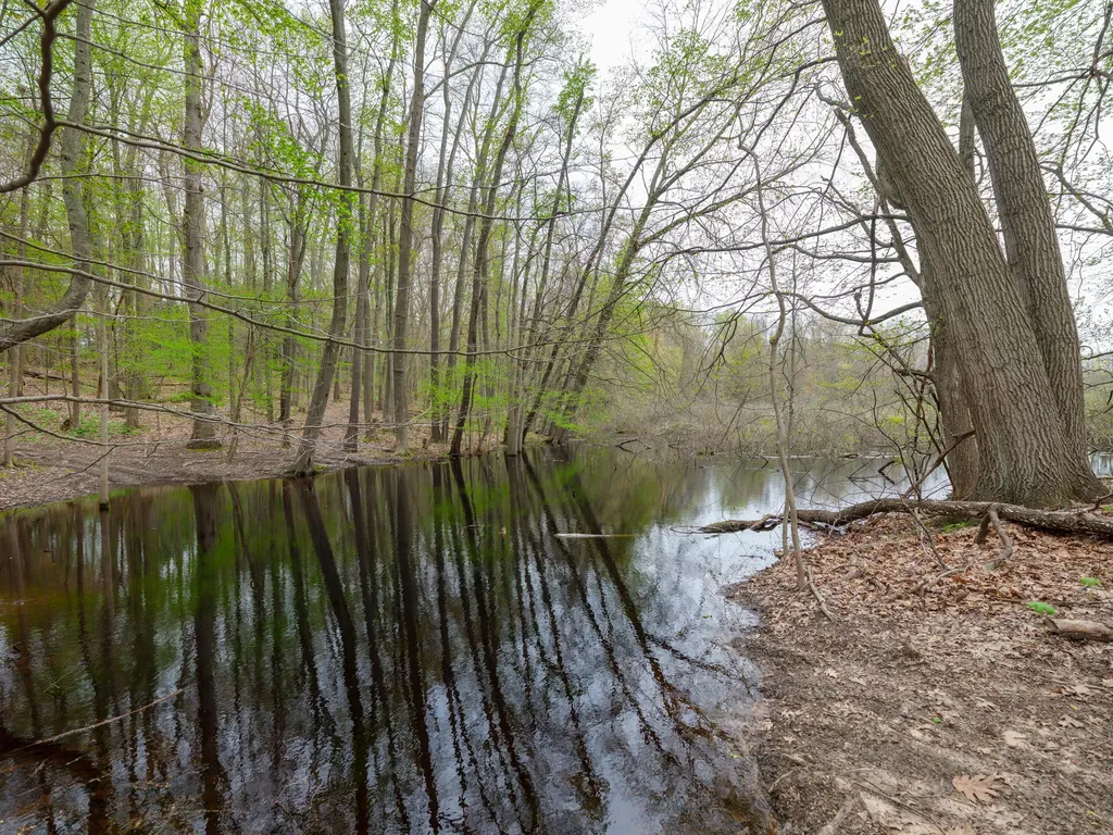 22431 Paulson Road Pine Grove Township MI 49055