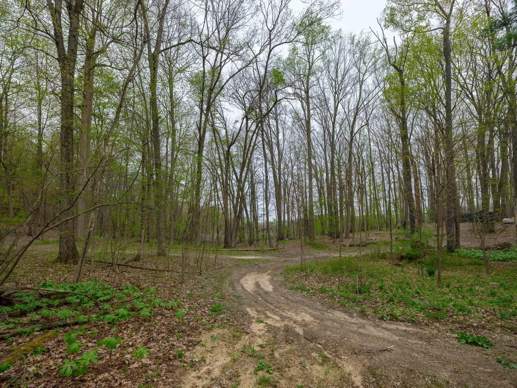 22431 Paulson Road Pine Grove Township MI 49055