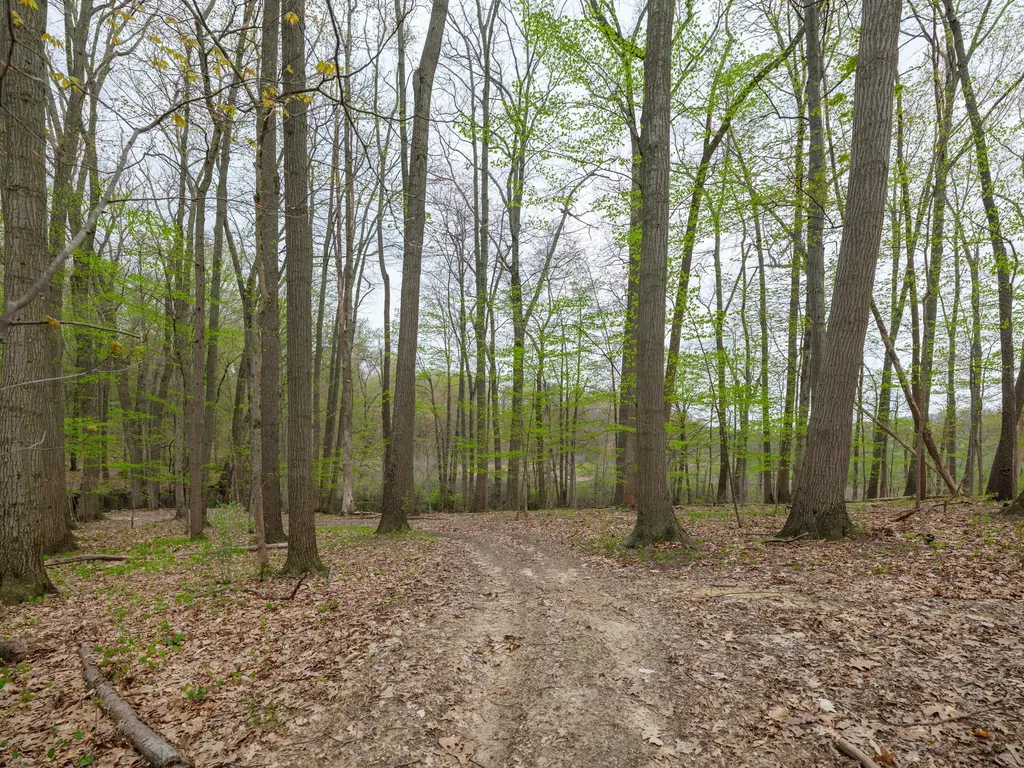 22431 Paulson Road Pine Grove Township MI 49055