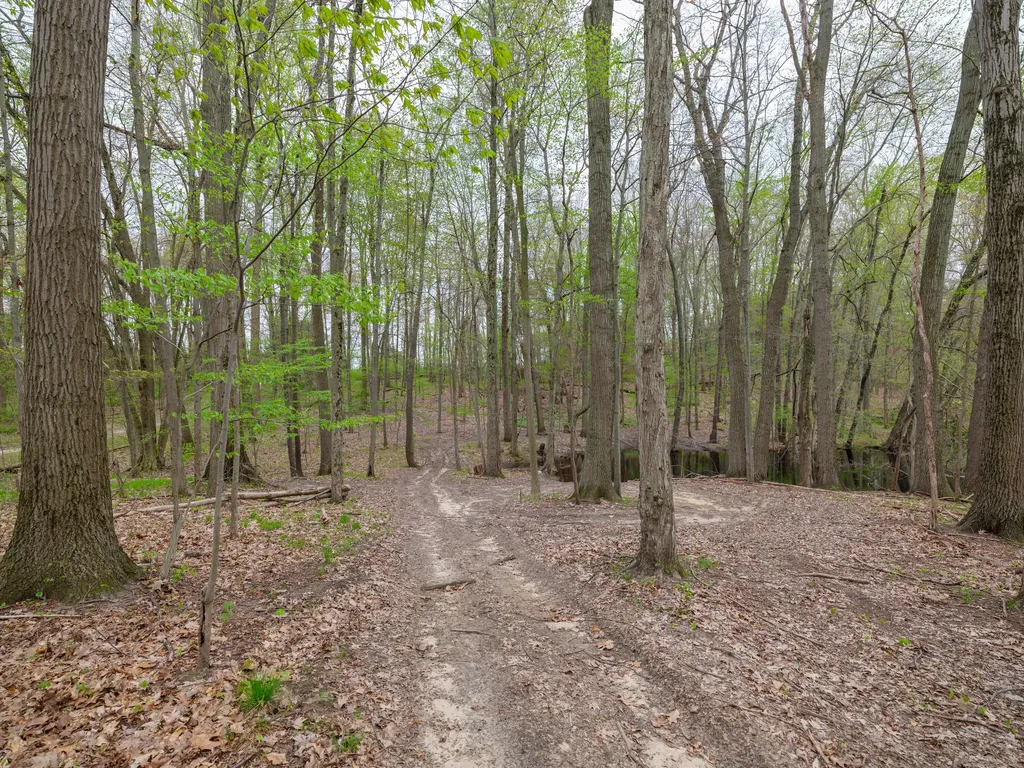 22431 Paulson Road Pine Grove Township MI 49055