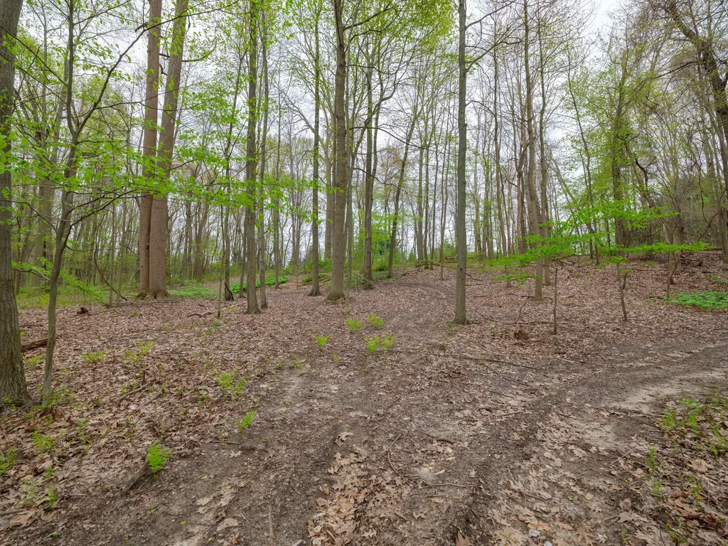 22431 Paulson Road Pine Grove Township MI 49055