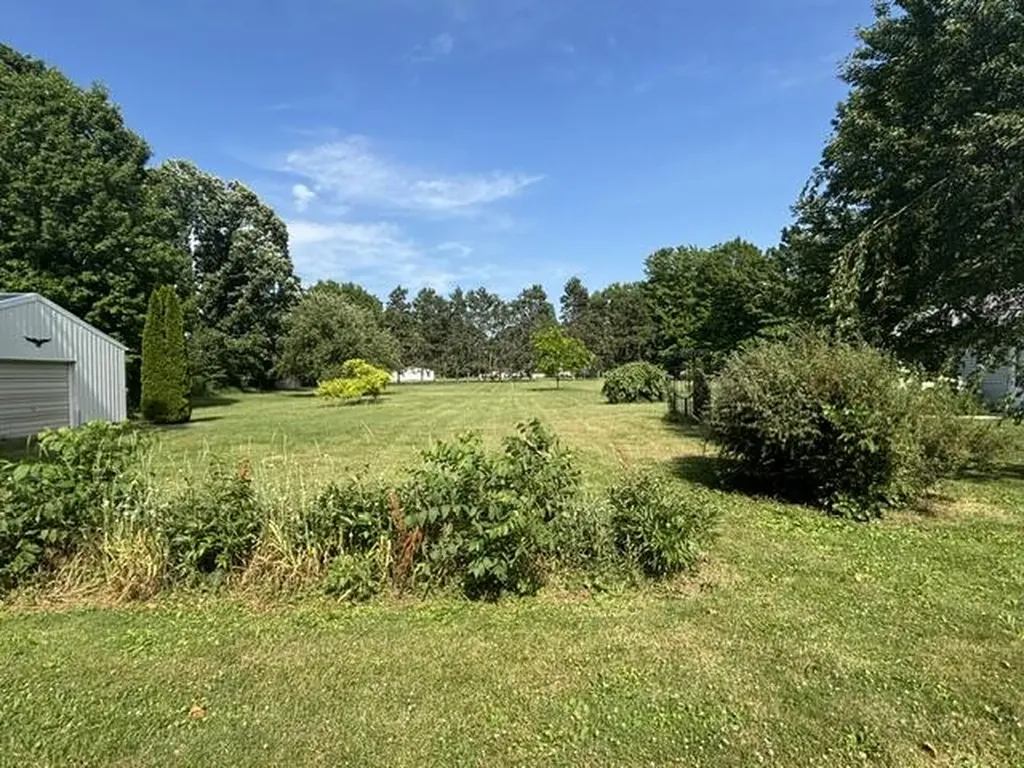 355 E Maple Street Climax Village MI 49034