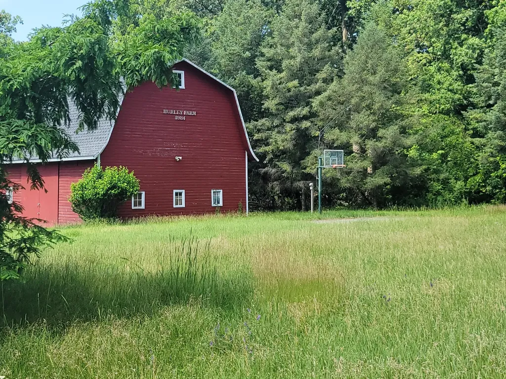 35176 Mill Lake Road Bloomingdale Township MI 49055