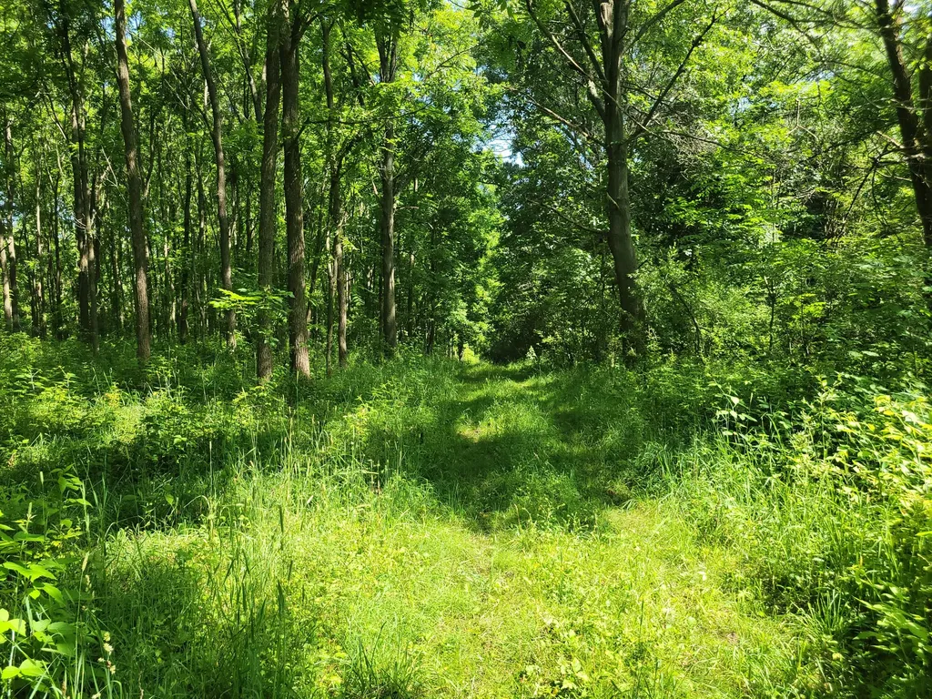 35176 Mill Lake Road Bloomingdale Township MI 49055