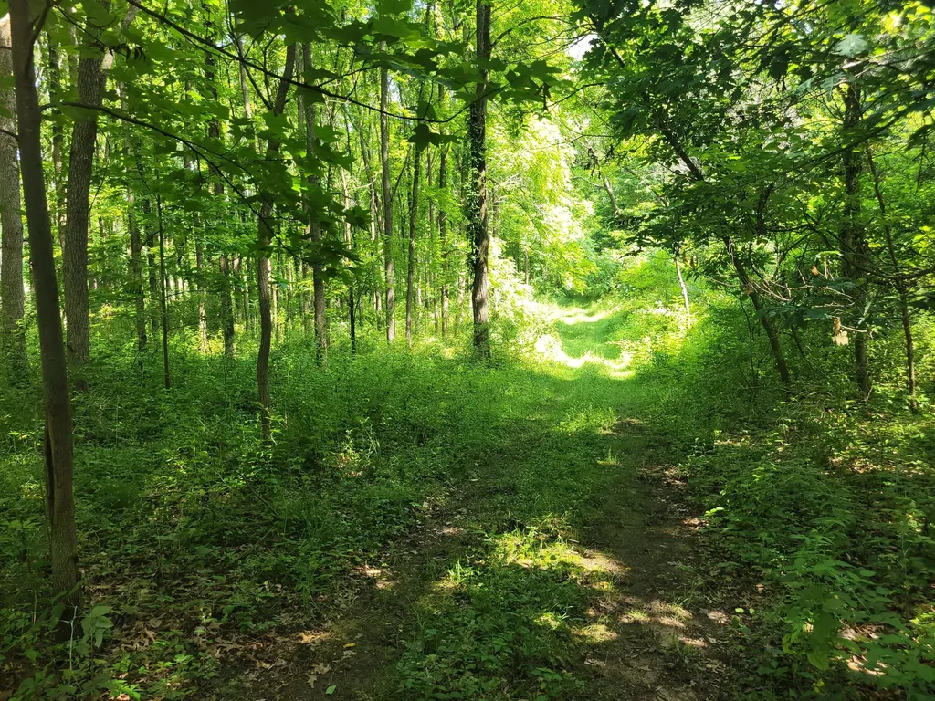 35176 Mill Lake Road Bloomingdale Township MI 49055