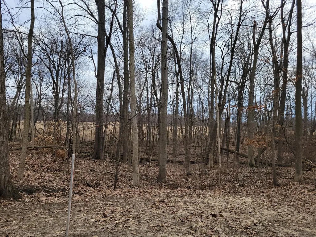 35176 Mill Lake Road Bloomingdale Township MI 49055