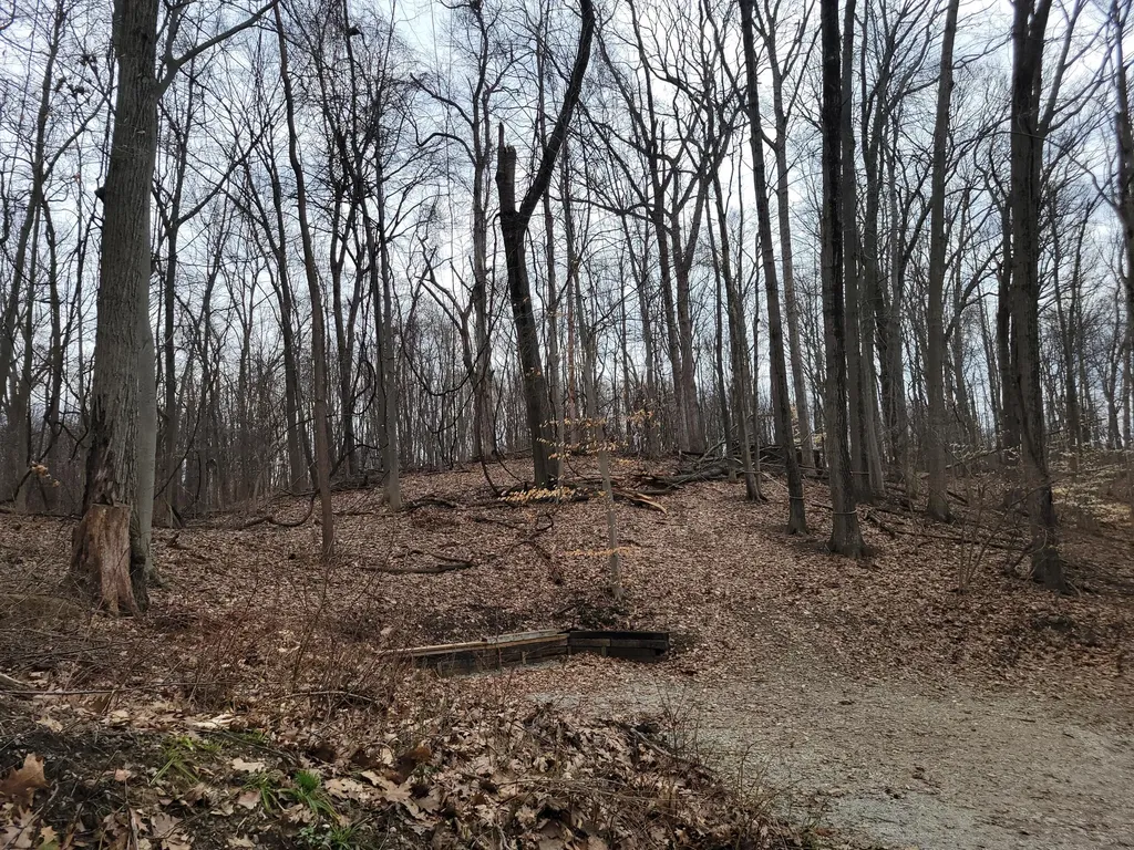 35176 Mill Lake Road Bloomingdale Township MI 49055