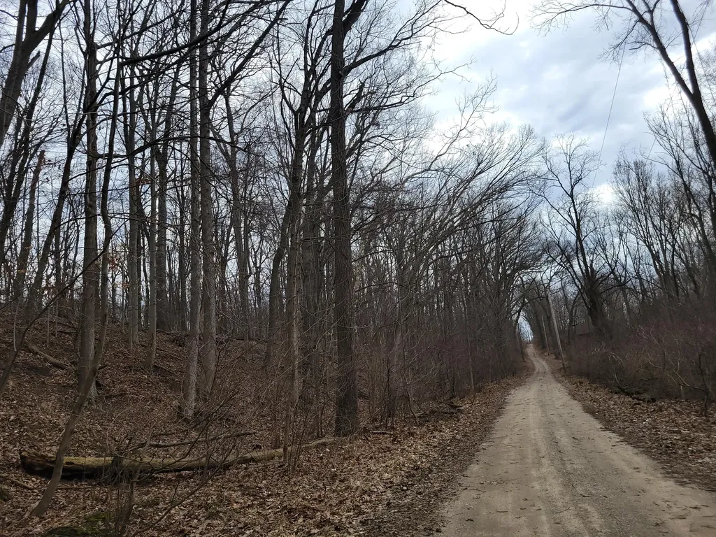 35176 Mill Lake Road Bloomingdale Township MI 49055