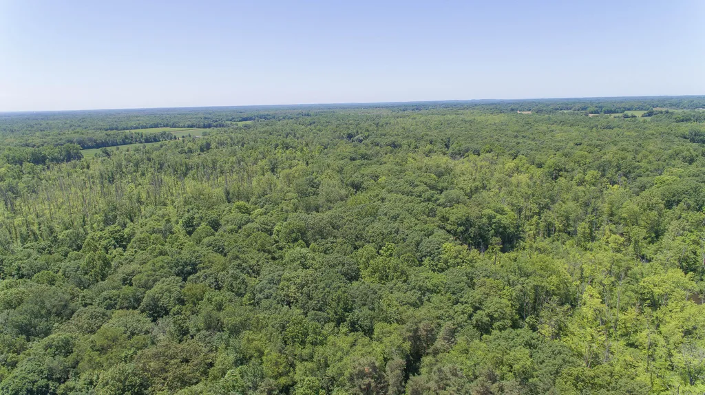 34268 County Road 653 Almena Township MI 49079