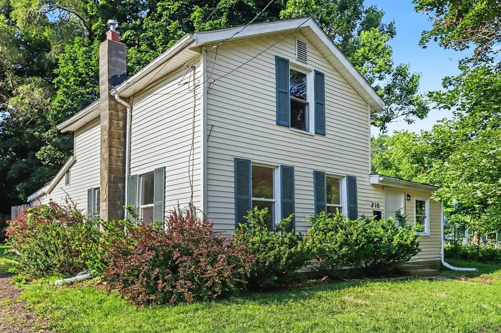 310 Locust Street Marshall City MI 49068