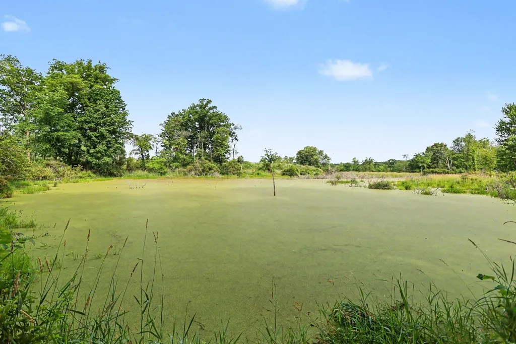 9411 Evart Road Maple Grove Township MI 49073