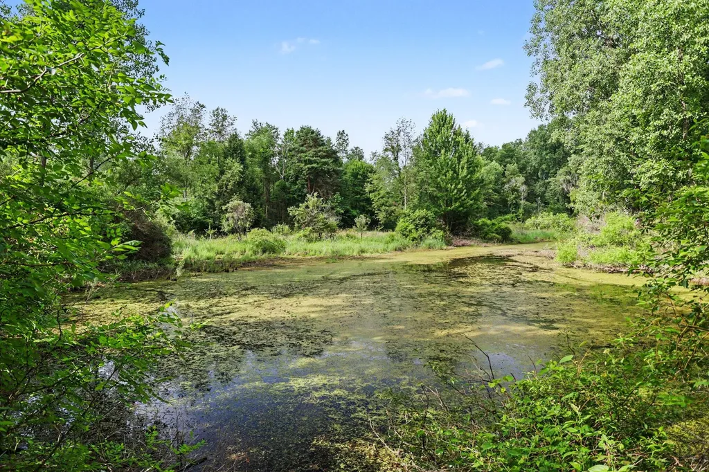 9411 Evart Road Maple Grove Township MI 49073