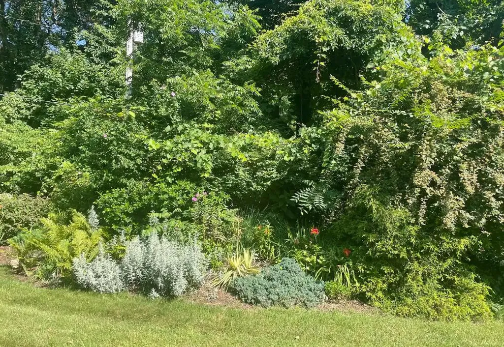 6985 N 12th Street Alamo Township MI 49009