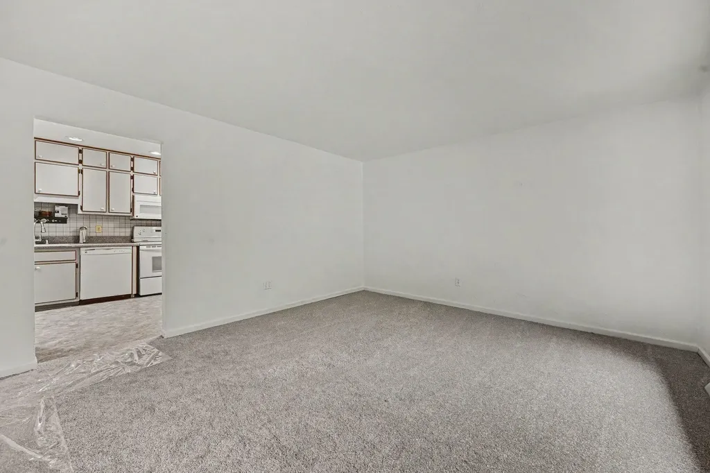 203 Dundee Drive Emmett Charter Township MI 49014