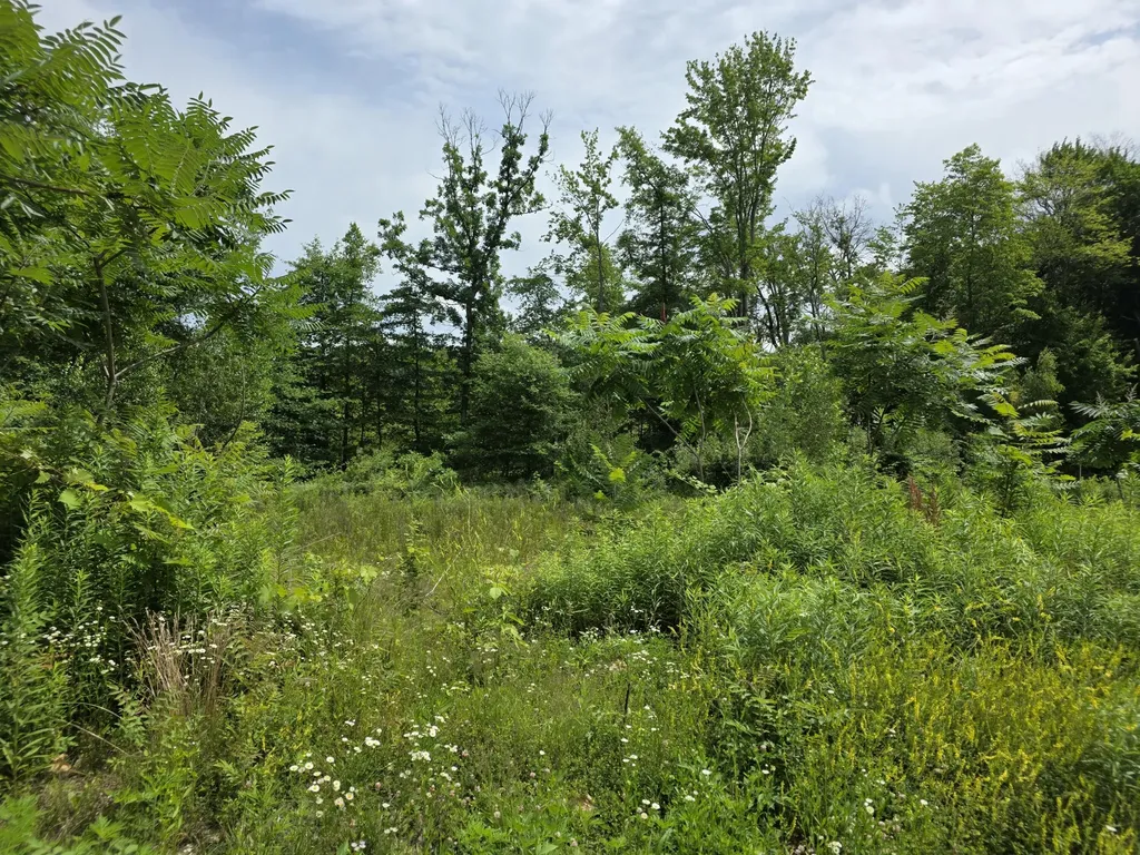 9285 Sassafras Trail Portage City MI 49002