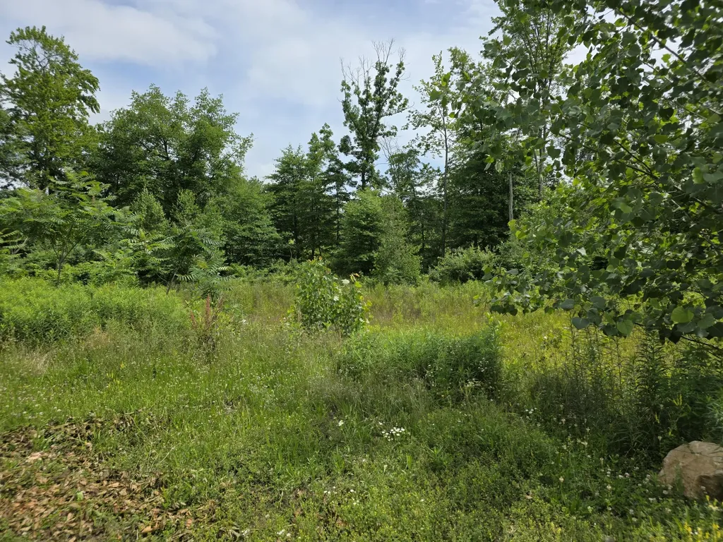 9285 Sassafras Trail Portage City MI 49002