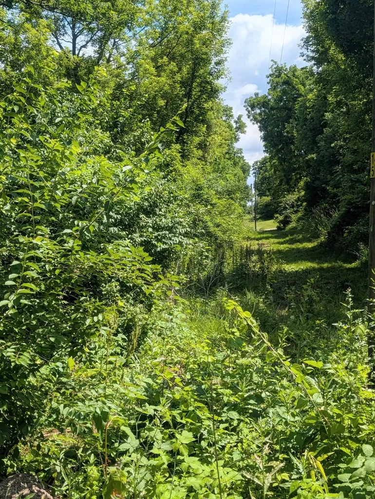 5900 Springbrook Road Unknown City MI 49246