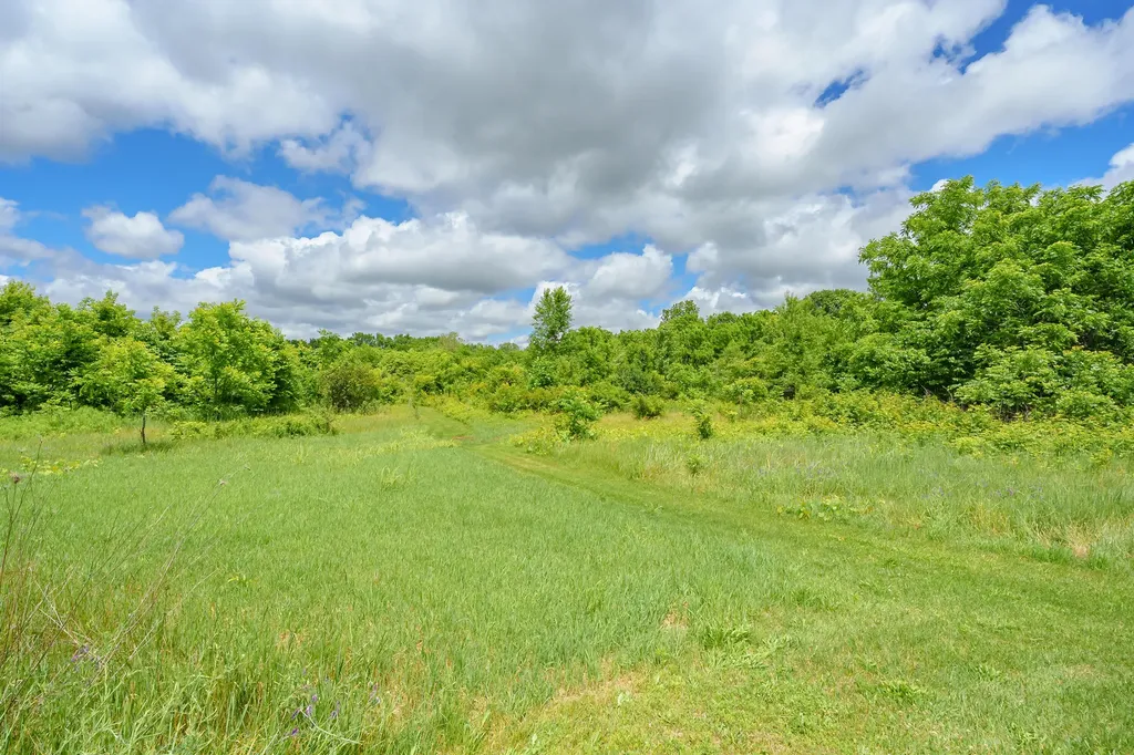 38701 County Road 665 Waverly Township MI 49079