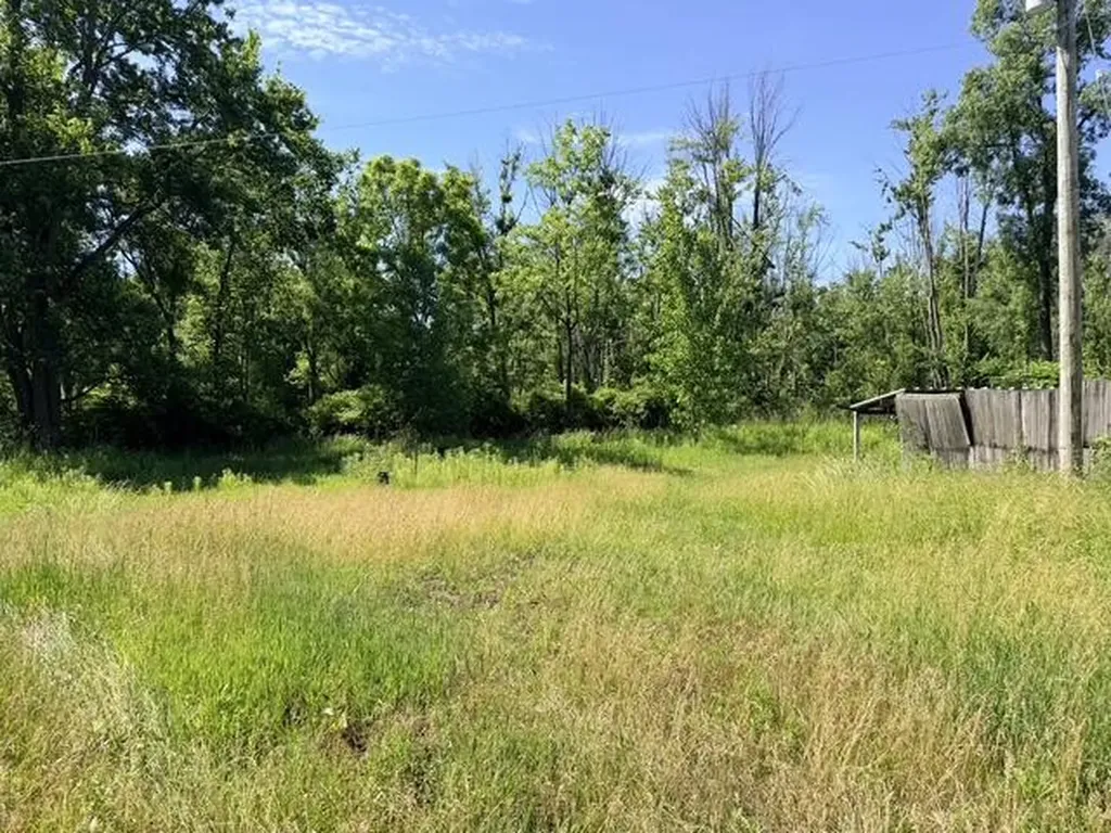 3538 108th Avenue Trowbridge Township MI 49010